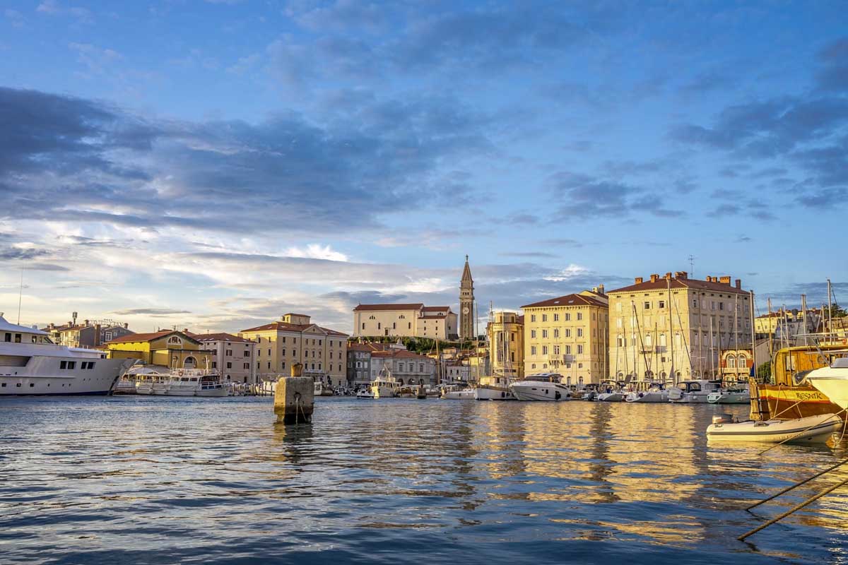 Discover Istria: Coastal Beauty, Culture, and Cuisine 4.8 (14)